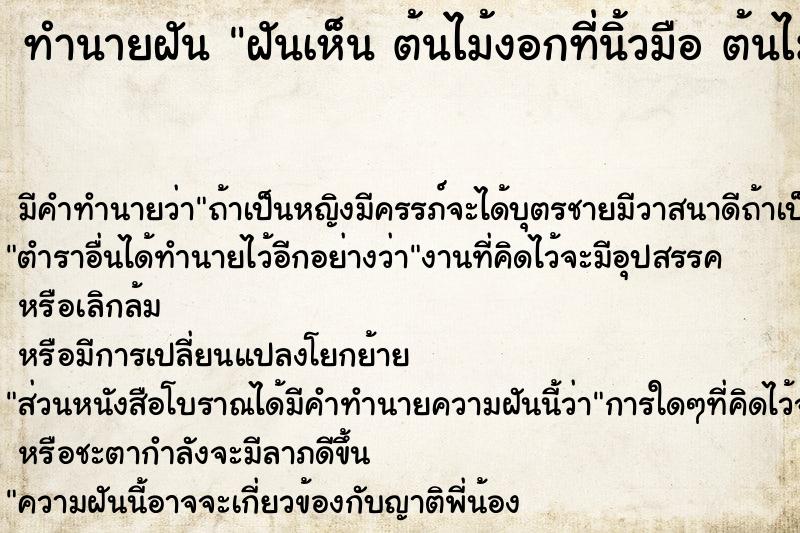 ทำนายฝัน ฝันเห็น ต้นไม้งอกที่นิ้วมือ ต้นไม้งอกที่นิ้วมือ 